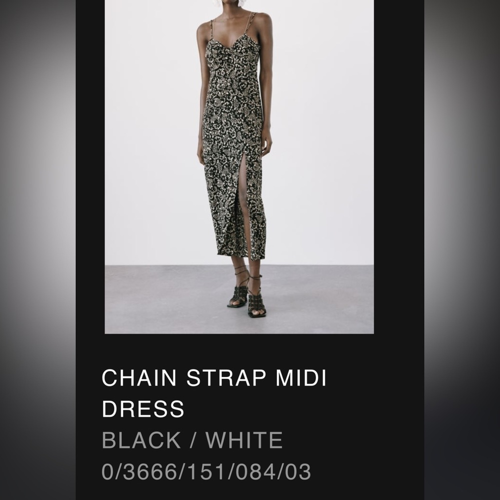Zara dress